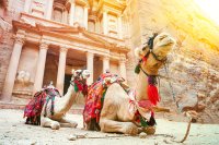 Ontdek de schatten van Jordanië